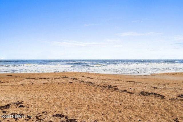 water view featuring a beach view