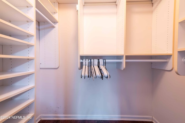 spacious closet featuring dark wood-type flooring