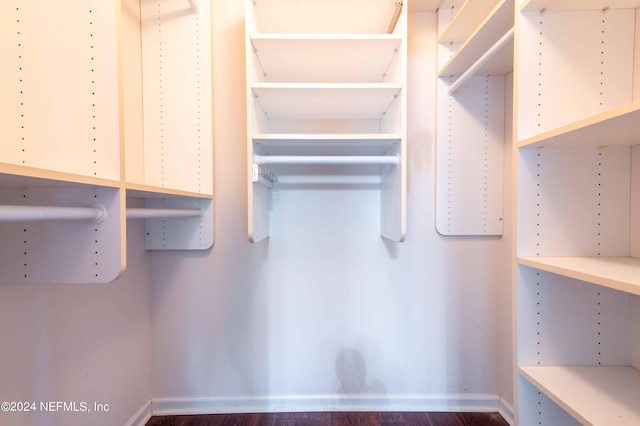 spacious closet featuring dark wood-type flooring