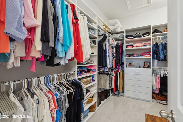 walk in closet featuring light colored carpet