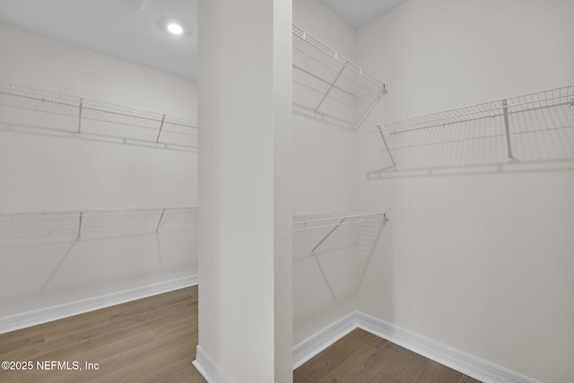 walk in closet with hardwood / wood-style flooring