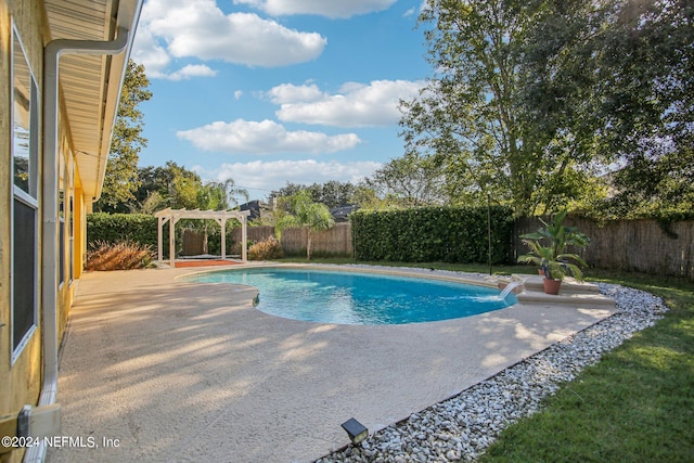 view of swimming pool featuring a patio and a pergola