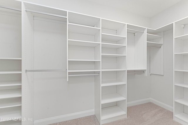 spacious closet featuring light colored carpet