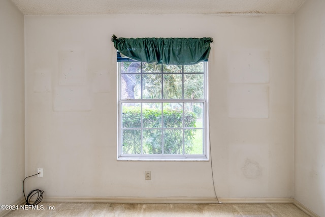 empty room featuring light carpet and a textured ceiling