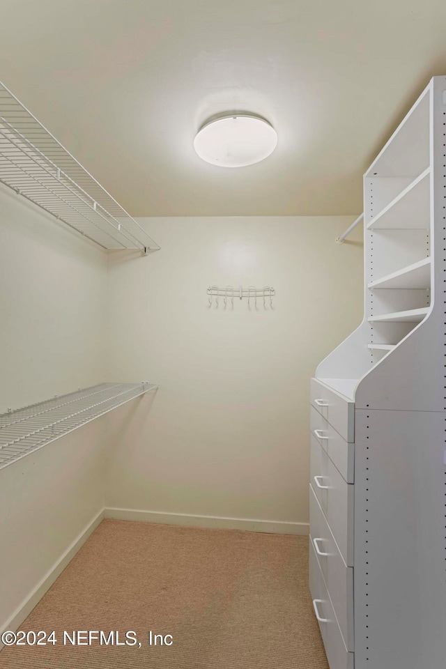 walk in closet with light carpet