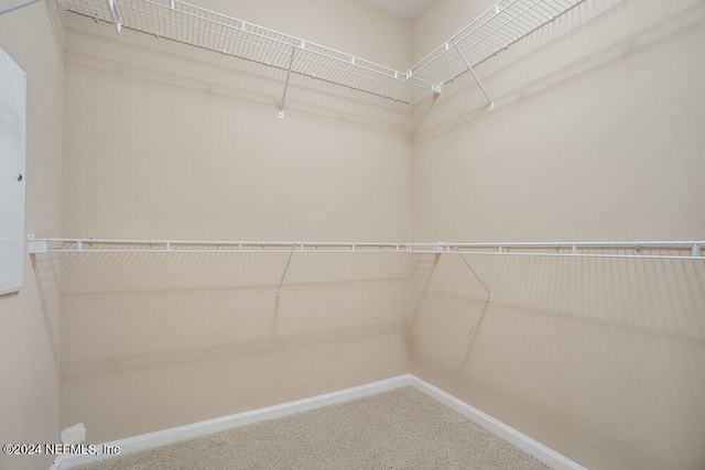 walk in closet featuring carpet