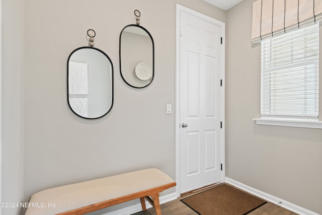 doorway featuring hardwood / wood-style floors