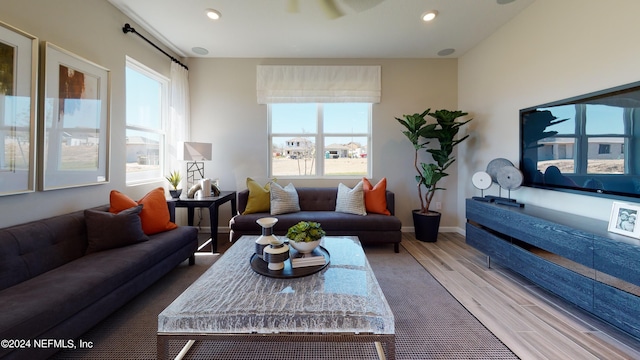 living room featuring hardwood / wood-style floors