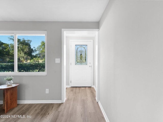 foyer with light hardwood / wood-style floors