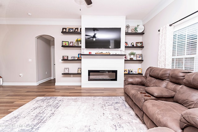 living room featuring crown molding, hardwood / wood-style floors, a fireplace, and ceiling fan