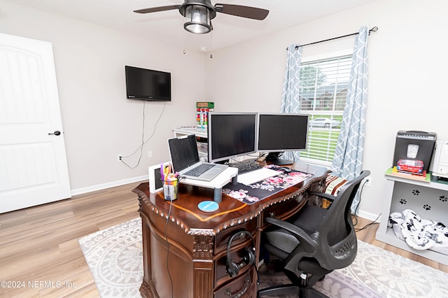 home office featuring ceiling fan and light wood-type flooring