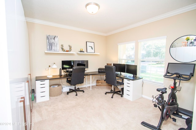 office space featuring crown molding and light carpet