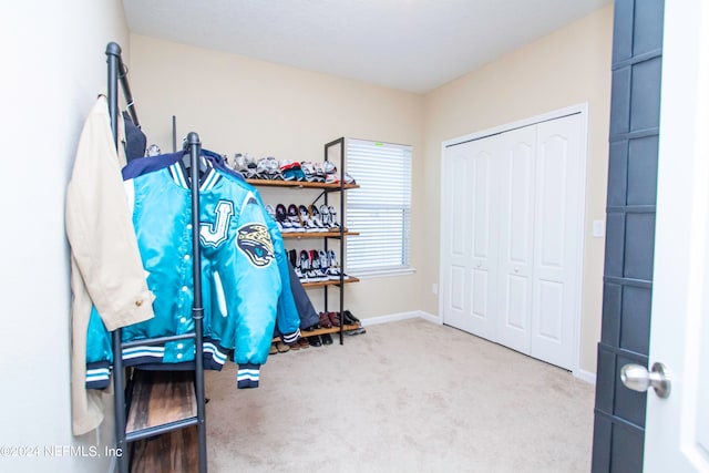 interior space with light colored carpet