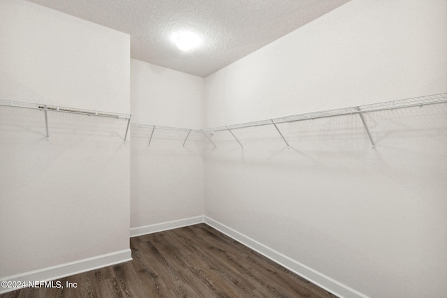 walk in closet with dark wood-style floors