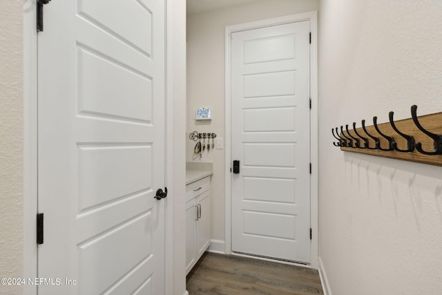 entryway with dark hardwood / wood-style flooring