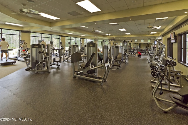 gym with a drop ceiling and ceiling fan