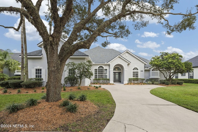 ranch-style house featuring a front lawn