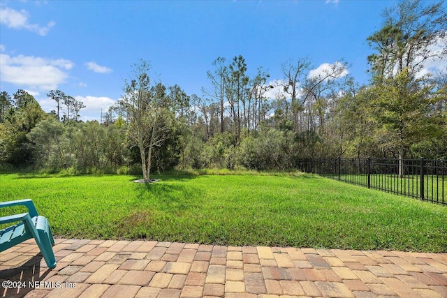 view of yard with a patio area