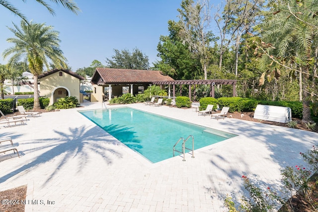 view of pool featuring a patio area