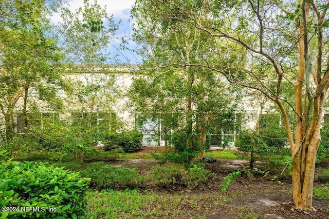 8121 Summer Palm Ct, Jacksonville, FL 32256 - view of nature