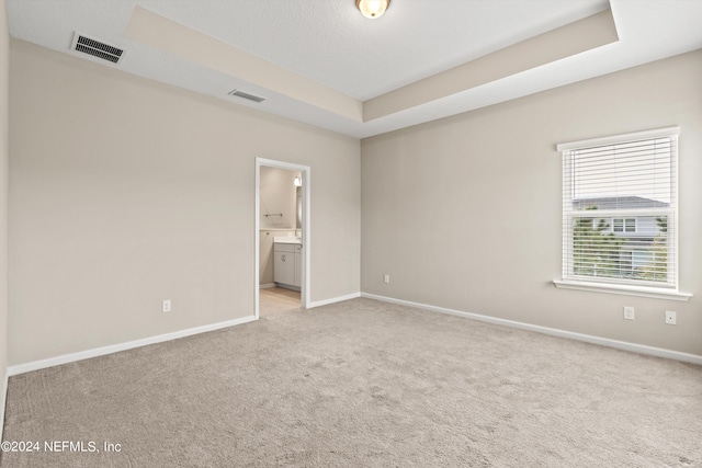 unfurnished room with light carpet and a raised ceiling