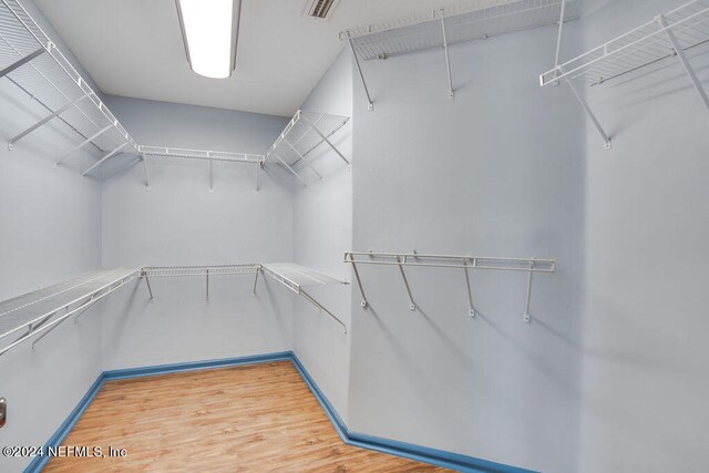 spacious closet featuring wood-type flooring