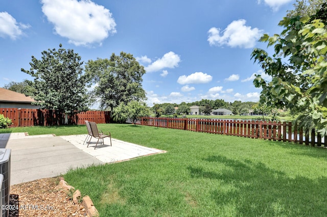 view of yard featuring a patio area