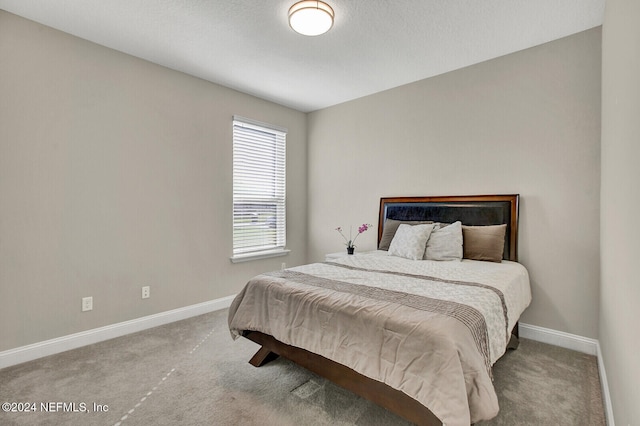 bedroom featuring carpet