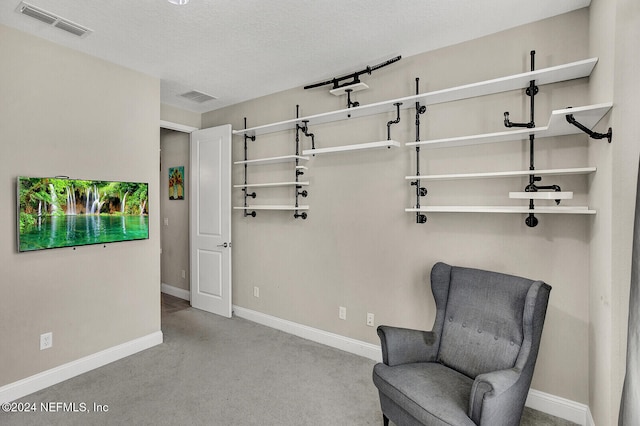 unfurnished room with a textured ceiling and light carpet