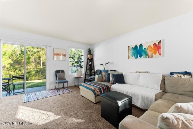 view of carpeted living room