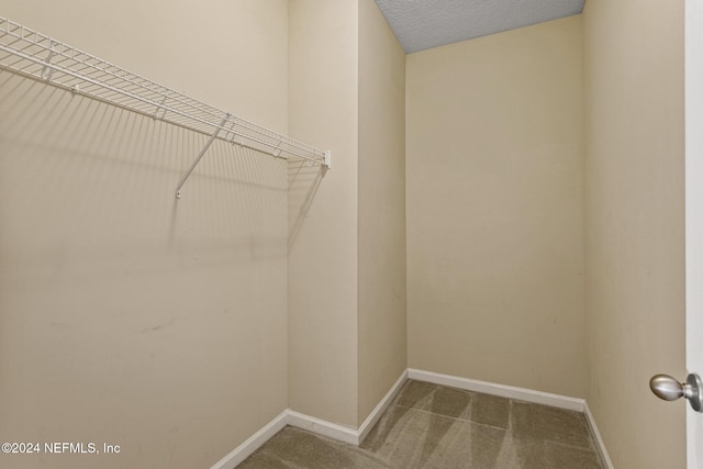 walk in closet featuring carpet flooring