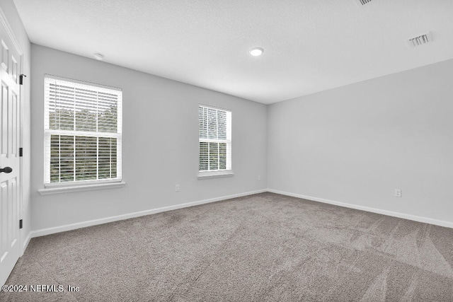 unfurnished room with carpet flooring and a healthy amount of sunlight