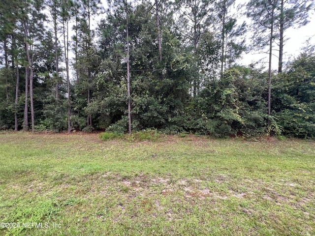 2552 Indigo Ave, Middleburg FL, 32068 land for sale