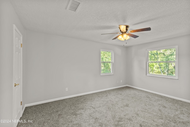 carpeted empty room with a textured ceiling and a wealth of natural light