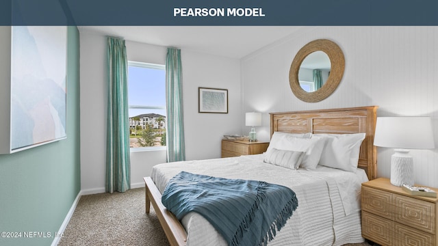 carpeted bedroom featuring multiple windows