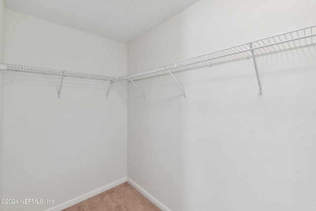 walk in closet featuring carpet flooring