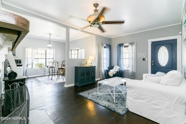 bedroom featuring ornamental molding, dark wood-type flooring, and ceiling fan