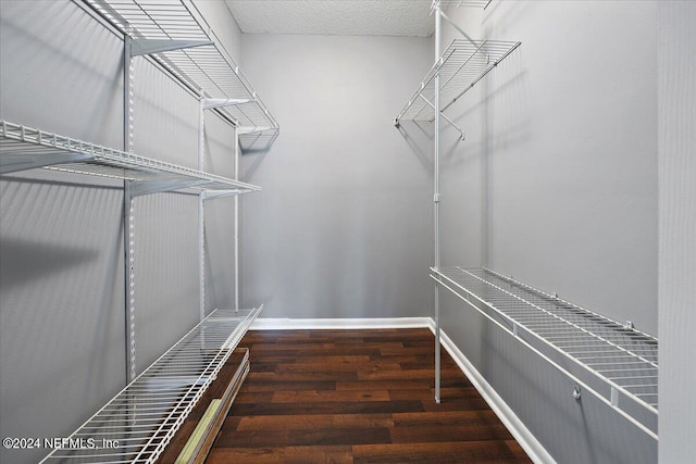 spacious closet with dark hardwood / wood-style floors