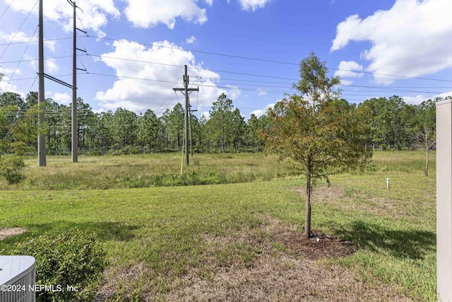 7716 Merchants Way, Jacksonville, FL 32222 - view of yard