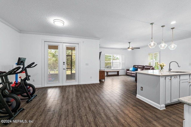 interior space with french doors, dark wood-type flooring, sink, white cabinets, and hanging light fixtures