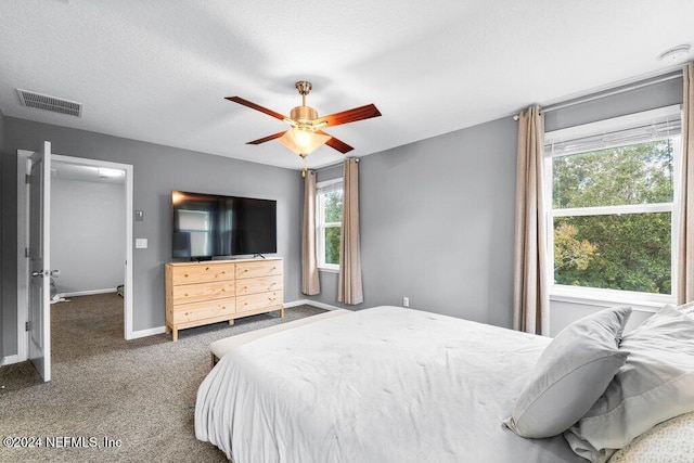 bedroom featuring carpet, ceiling fan, and a textured ceiling