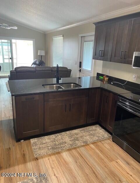 kitchen with lofted ceiling, sink, crown molding, light hardwood / wood-style flooring, and dark brown cabinets