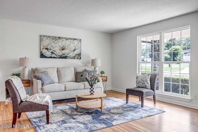 living room with a textured ceiling and light hardwood / wood-style flooring