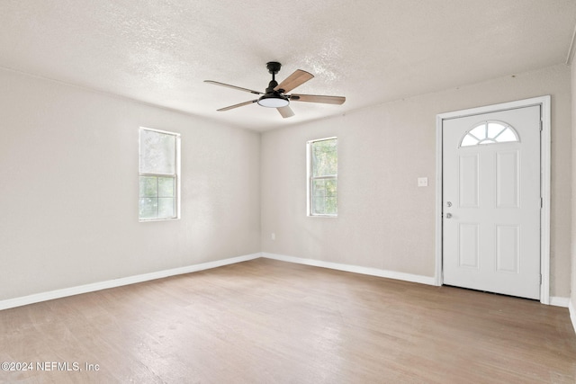 entryway featuring light hardwood / wood-style floors and a healthy amount of sunlight