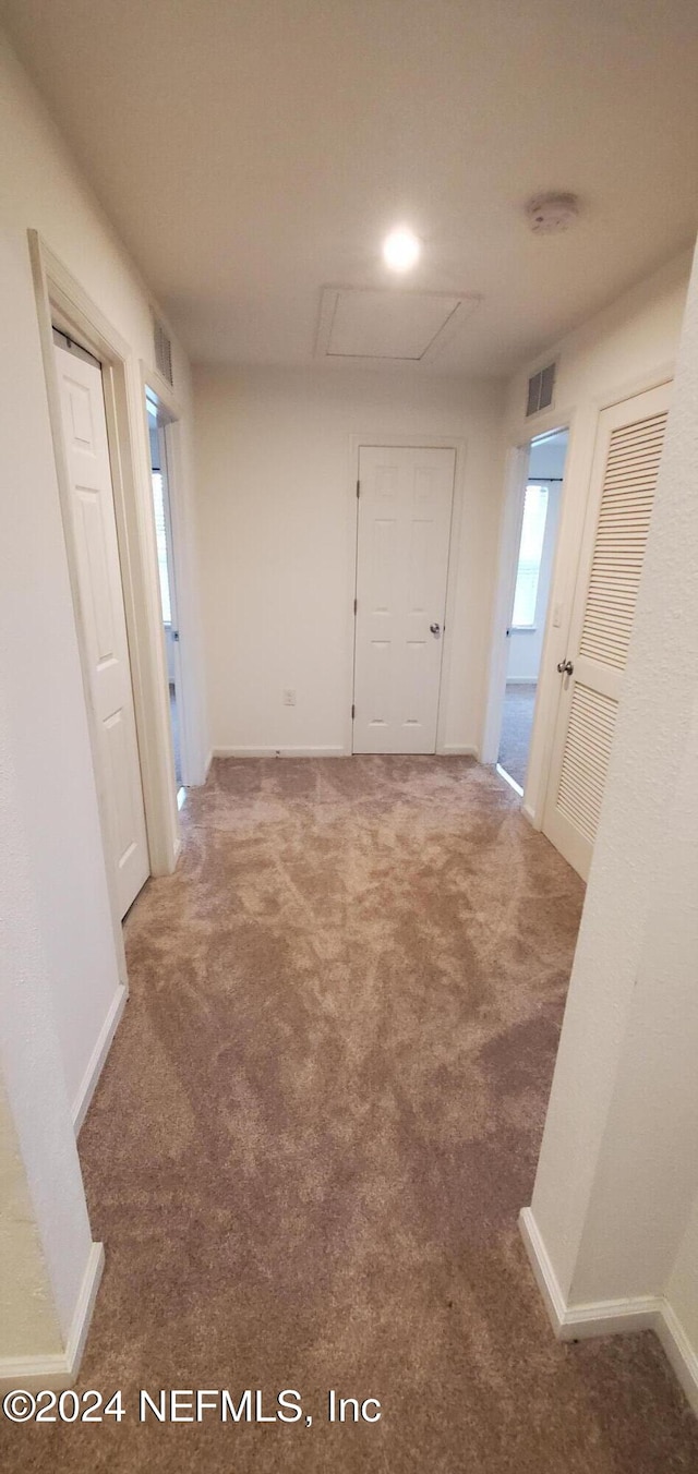 hallway with carpet flooring