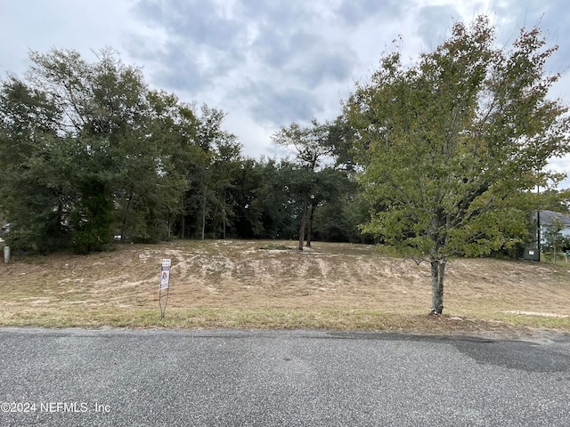 Listing photo 2 for 1721 Hagans Ridge Ct, Green Cove Springs FL 32043