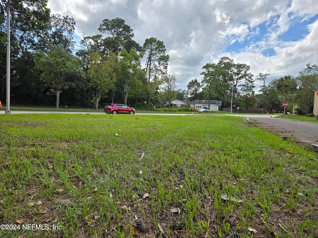 0 Randall St, Jacksonville FL, 32205 land for sale