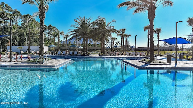 view of swimming pool