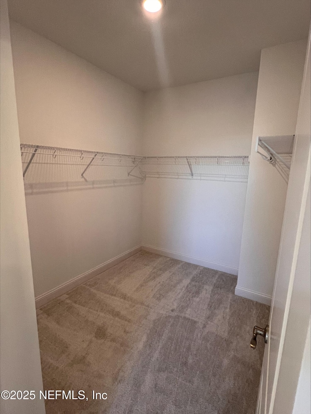 spacious closet with carpet flooring