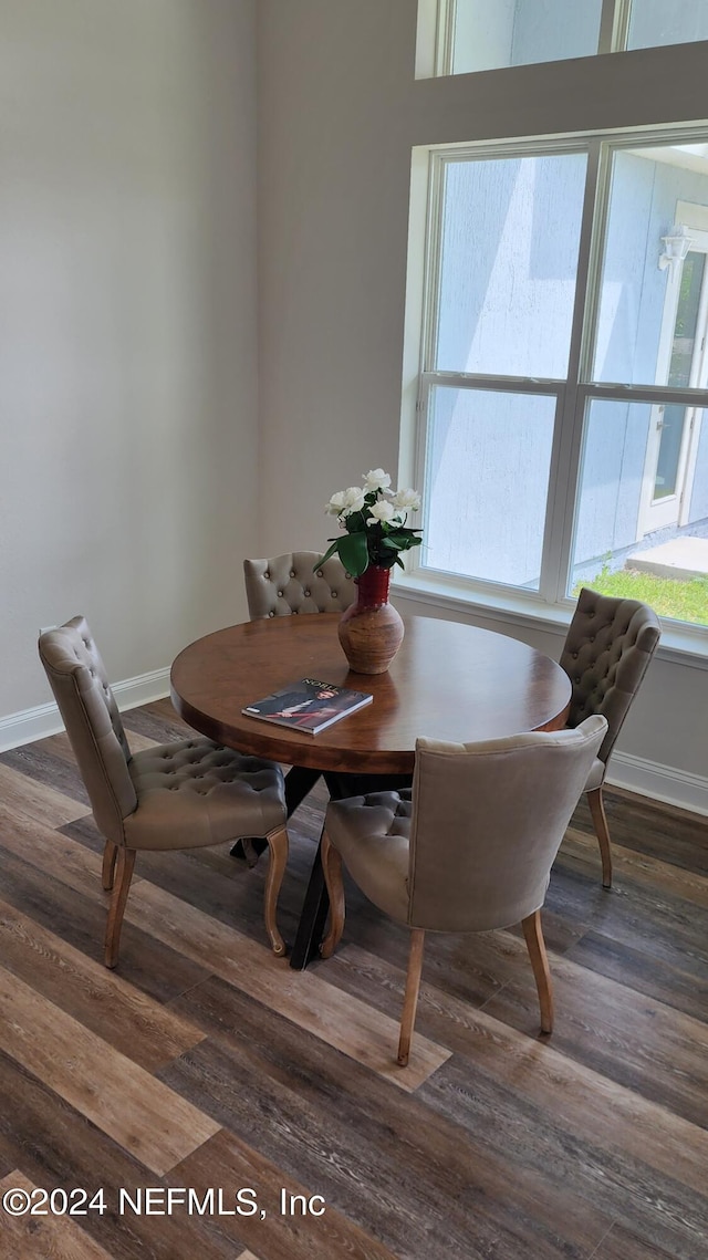 dining room featuring dark wood-type flooring